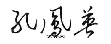 駱恆光孔鳳英草書個性簽名怎么寫