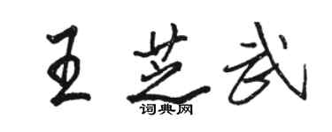 駱恆光王芝武行書個性簽名怎么寫