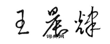 駱恆光王晨輝草書個性簽名怎么寫