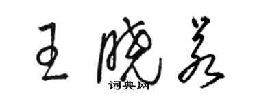 駱恆光王曉若草書個性簽名怎么寫