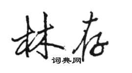 駱恆光林存行書個性簽名怎么寫