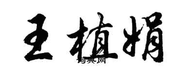 胡問遂王植娟行書個性簽名怎么寫