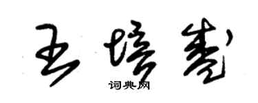 朱錫榮王培盛草書個性簽名怎么寫