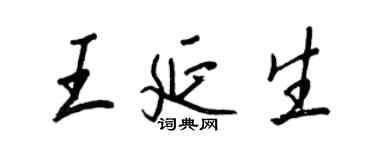 王正良王延生行書個性簽名怎么寫
