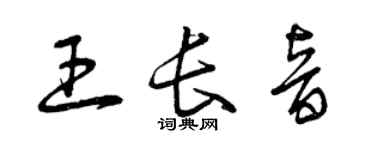 曾慶福王長音草書個性簽名怎么寫