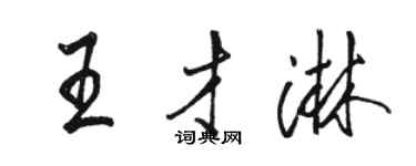駱恆光王才淋行書個性簽名怎么寫