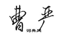 駱恆光曹嚴行書個性簽名怎么寫