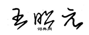 朱錫榮王昭元草書個性簽名怎么寫