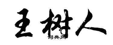 胡問遂王樹人行書個性簽名怎么寫