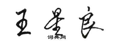 駱恆光王星良行書個性簽名怎么寫