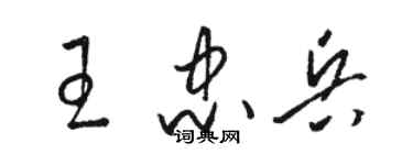 駱恆光王忠兵草書個性簽名怎么寫