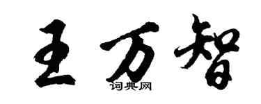 胡問遂王萬智行書個性簽名怎么寫