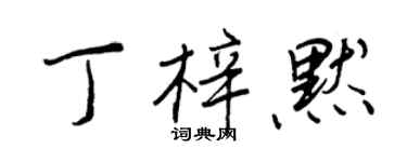 王正良丁梓默行書個性簽名怎么寫