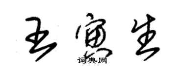 朱錫榮王寅生草書個性簽名怎么寫