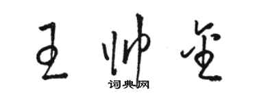 駱恆光王帥金草書個性簽名怎么寫