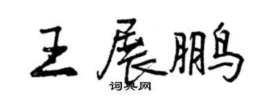 曾慶福王展鵬行書個性簽名怎么寫