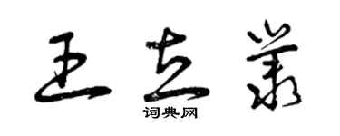 曾慶福王立叢草書個性簽名怎么寫