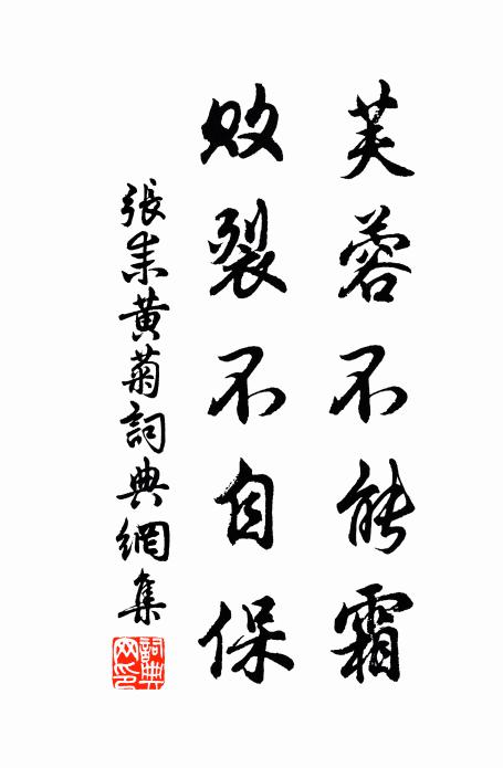 獨與山中人,無心生復滅 詩詞名句