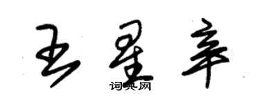 朱錫榮王星辛草書個性簽名怎么寫