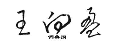 駱恆光王向盈草書個性簽名怎么寫