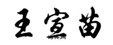 胡問遂王宣苗行書個性簽名怎么寫