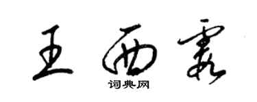 梁錦英王西霞草書個性簽名怎么寫