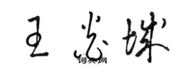 駱恆光王炎城草書個性簽名怎么寫