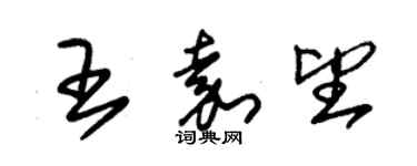 朱錫榮王嘉望草書個性簽名怎么寫