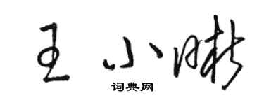 駱恆光王小晰草書個性簽名怎么寫