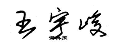 朱錫榮王宇峻草書個性簽名怎么寫