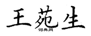 丁謙王苑生楷書個性簽名怎么寫