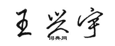 駱恆光王興宇行書個性簽名怎么寫