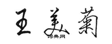 駱恆光王美菊行書個性簽名怎么寫