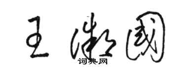 駱恆光王微國草書個性簽名怎么寫