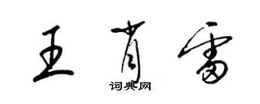 梁錦英王肖雷草書個性簽名怎么寫