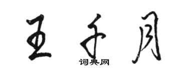 駱恆光王千月行書個性簽名怎么寫