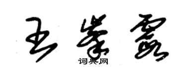 朱錫榮王峰霞草書個性簽名怎么寫