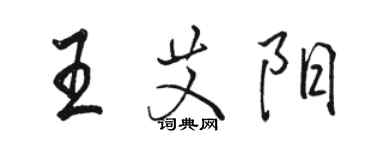 駱恆光王艾陽行書個性簽名怎么寫