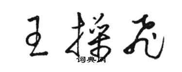 駱恆光王操飛草書個性簽名怎么寫