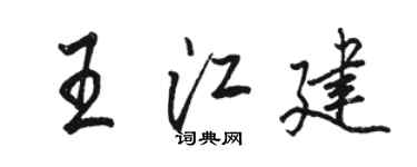 駱恆光王江建行書個性簽名怎么寫