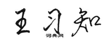 駱恆光王習知行書個性簽名怎么寫