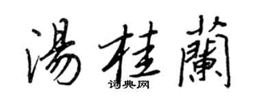 王正良湯桂蘭行書個性簽名怎么寫