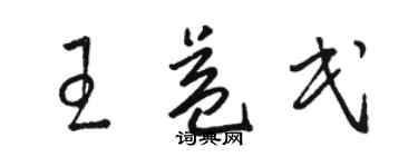 駱恆光王益民草書個性簽名怎么寫