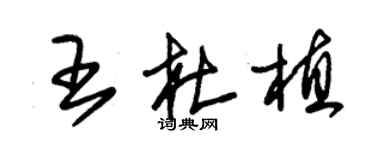 朱錫榮王杜植草書個性簽名怎么寫