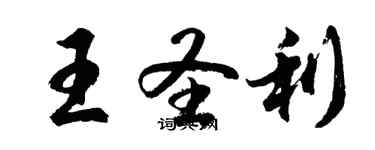 胡問遂王聖利行書個性簽名怎么寫