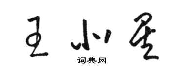 駱恆光王北星草書個性簽名怎么寫