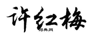 胡問遂許紅梅行書個性簽名怎么寫