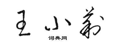 駱恆光王小莉草書個性簽名怎么寫