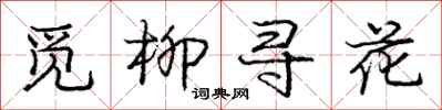 龐中華覓柳尋花行書怎么寫