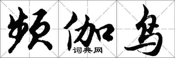 胡問遂頻伽鳥行書怎么寫